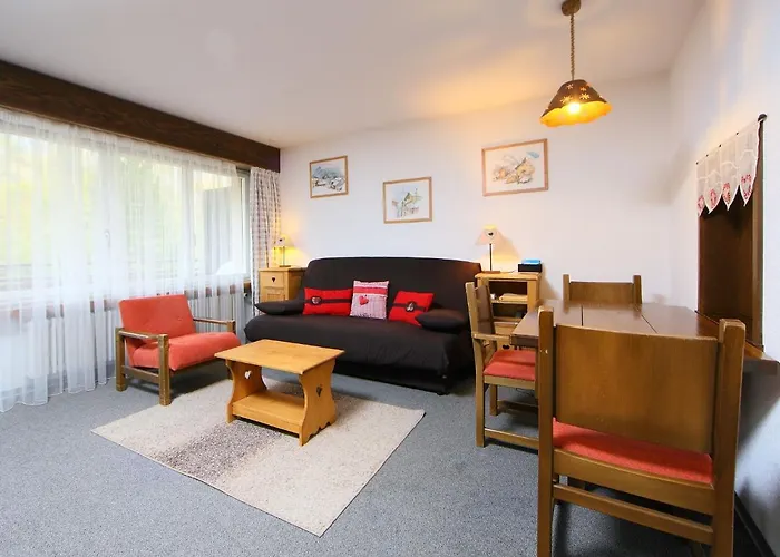 Ringstrasse 115 By Interhome